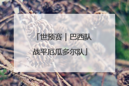 世预赛｜巴西队战平厄瓜多尔队