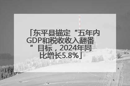 东平县锚定“五年内GDP和税收收入翻番”目标，2024年同比增长5.8%