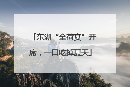 东湖“全荷宴”开席，一口吃掉夏天