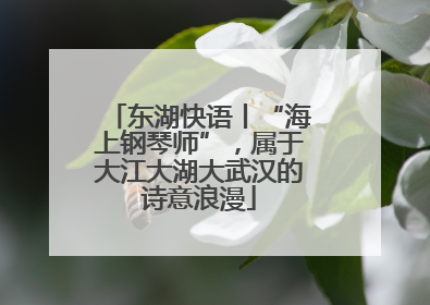 东湖快语丨“海上钢琴师”，属于大江大湖大武汉的诗意浪漫