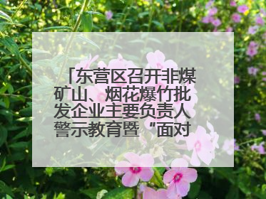 东营区召开非煤矿山、烟花爆竹批发企业主要负责人警示教育暨“面对面”谈话会议