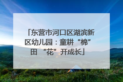 东营市河口区湖滨新区幼儿园：童耕“棉”田 “花”开成长