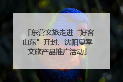 东营文旅走进“好客山东”开封、沈阳夏季文旅产品推广活动