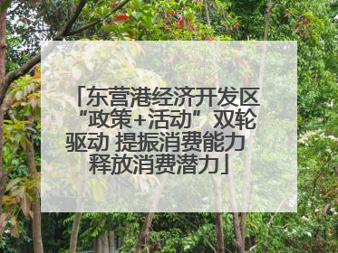 东营港经济开发区“政策+活动”双轮驱动 提振消费能力 释放消费潜力