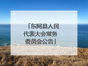 东阿县人民代表大会常务委员会公告