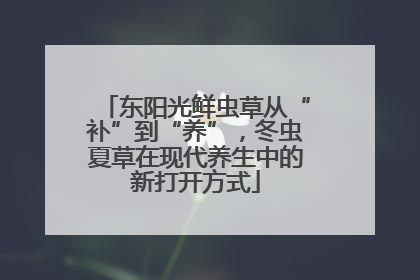 东阳光鲜虫草从“补”到“养”，冬虫夏草在现代养生中的新打开方式