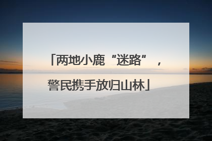 两地小鹿“迷路”，警民携手放归山林