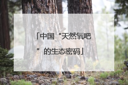中国“天然氧吧”的生态密码