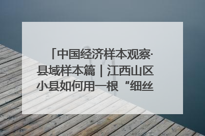 中国经济样本观察·县域样本篇｜江西山区小县如何用一根“细丝”拉出百亿级产业？