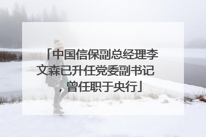 中国信保副总经理李文森已升任党委副书记，曾任职于央行