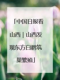 中国日报看山西｜山西发现东方白鹳筑巢繁殖