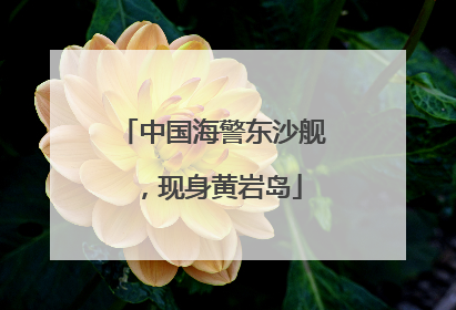中国海警东沙舰，现身黄岩岛