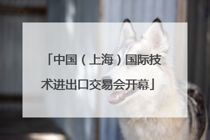 中国（上海）国际技术进出口交易会开幕