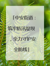 中安街道：筑牢防汛堤坝，全力守护安全防线