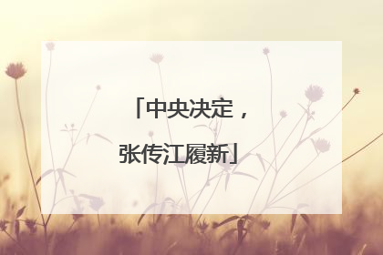 中央决定，张传江履新
