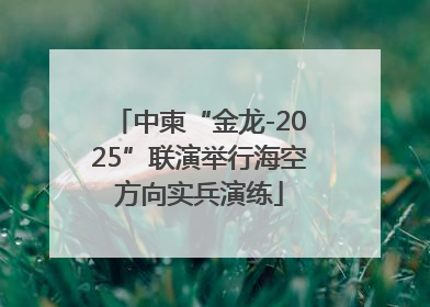 中柬“金龙-2025”联演举行海空方向实兵演练