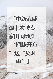 中新武威观｜农技专家田间地头“把脉开方”送“及时雨”
