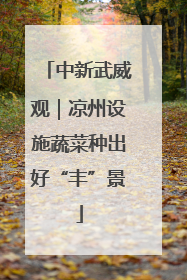 中新武威观｜凉州设施蔬菜种出好“丰”景