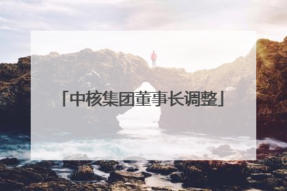 中核集团董事长调整