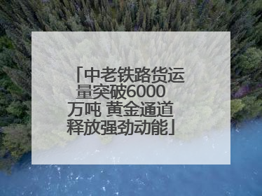 中老铁路货运量突破6000万吨 黄金通道释放强劲动能