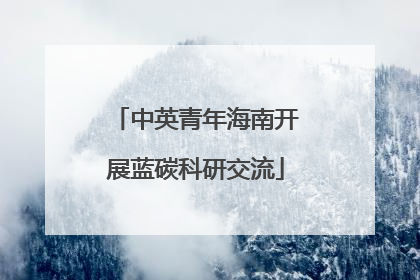 中英青年海南开展蓝碳科研交流