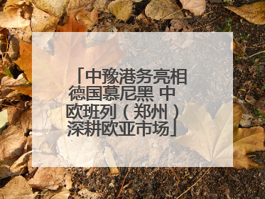 中豫港务亮相德国慕尼黑 中欧班列（郑州）深耕欧亚市场