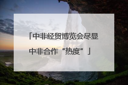 中非经贸博览会尽显中非合作“热度”