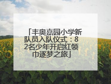 丰奥嘉园小学新队员入队仪式：82名少年开启红领巾逐梦之旅