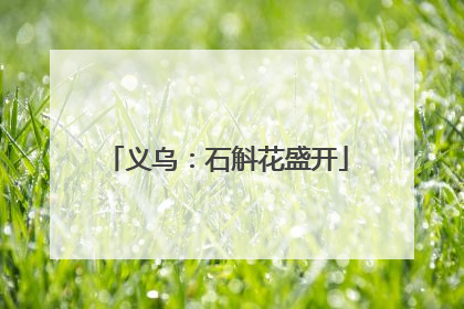 义乌：石斛花盛开