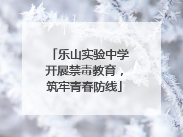 乐山实验中学开展禁毒教育，筑牢青春防线