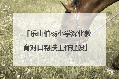 乐山柏杨小学深化教育对口帮扶工作建设