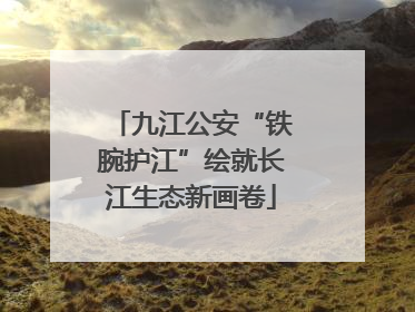 九江公安“铁腕护江”绘就长江生态新画卷
