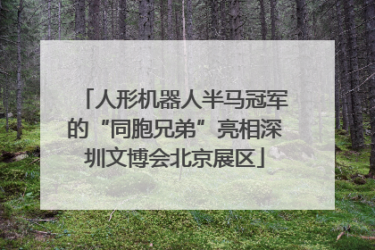 人形机器人半马冠军的“同胞兄弟”亮相深圳文博会北京展区