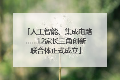 人工智能、集成电路……12家长三角创新联合体正式成立