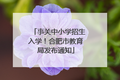 事关中小学招生入学！合肥市教育局发布通知