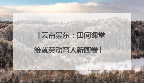 云南景东：田间课堂绘就劳动育人新画卷