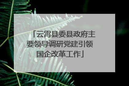 云霄县委县政府主要领导调研党建引领国企改革工作