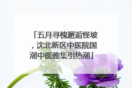 五月寻槐邂逅怪坡，沈北新区中医院国潮中医雅集引热潮