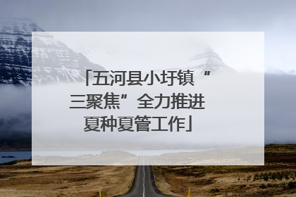 五河县小圩镇“三聚焦”全力推进夏种夏管工作