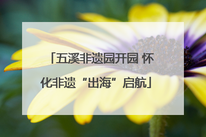 五溪非遗园开园 怀化非遗“出海”启航