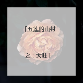 五莲的山村之：大旺