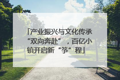 产业振兴与文化传承“双向奔赴”，百亿小镇开启新“筝”程