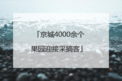 京城4000余个果园迎接采摘客