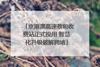 京港澳高速蔡甸收费站正式投用 智慧化升级破解拥堵