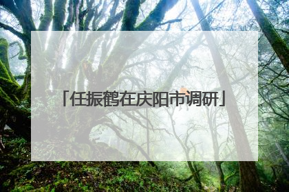 任振鹤在庆阳市调研