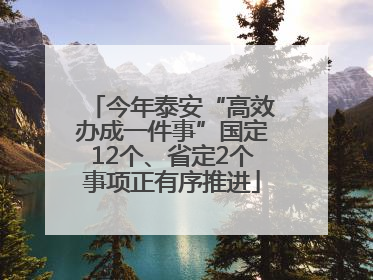 今年泰安“高效办成一件事”国定12个、省定2个事项正有序推进