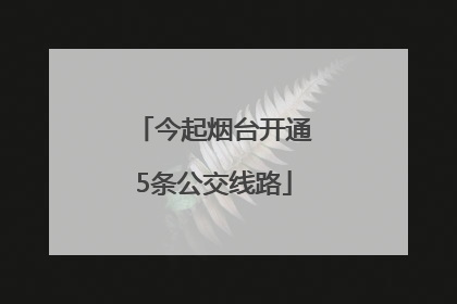 今起烟台开通5条公交线路