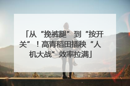 从“挽裤腿”到“按开关”！高青稻田插秧“人机大战”效率拉满