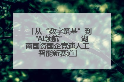 从“数字筑基”到“AI领航”——湖南国资国企竞速人工智能新赛道