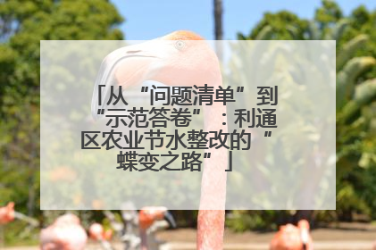 从“问题清单”到“示范答卷”：利通区农业节水整改的“蝶变之路”